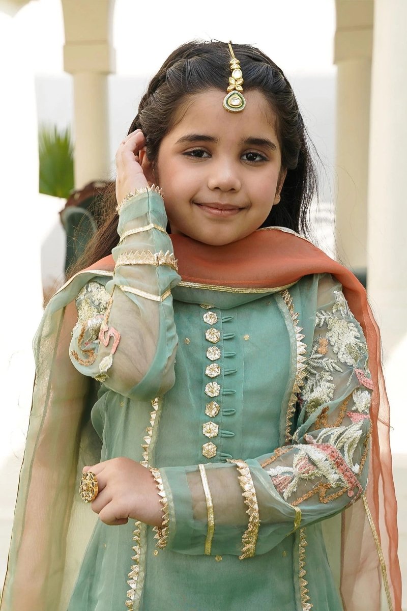 pakistani dresses Mahwari blue Designer Pakistani Wedding Party Dresses For