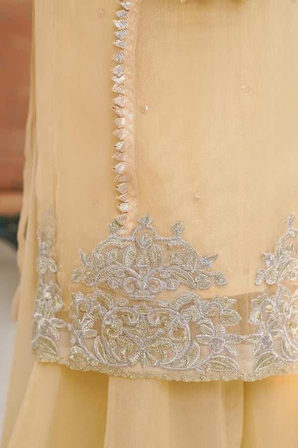 HEM Girls Pakistani Wedding Wear HEM08