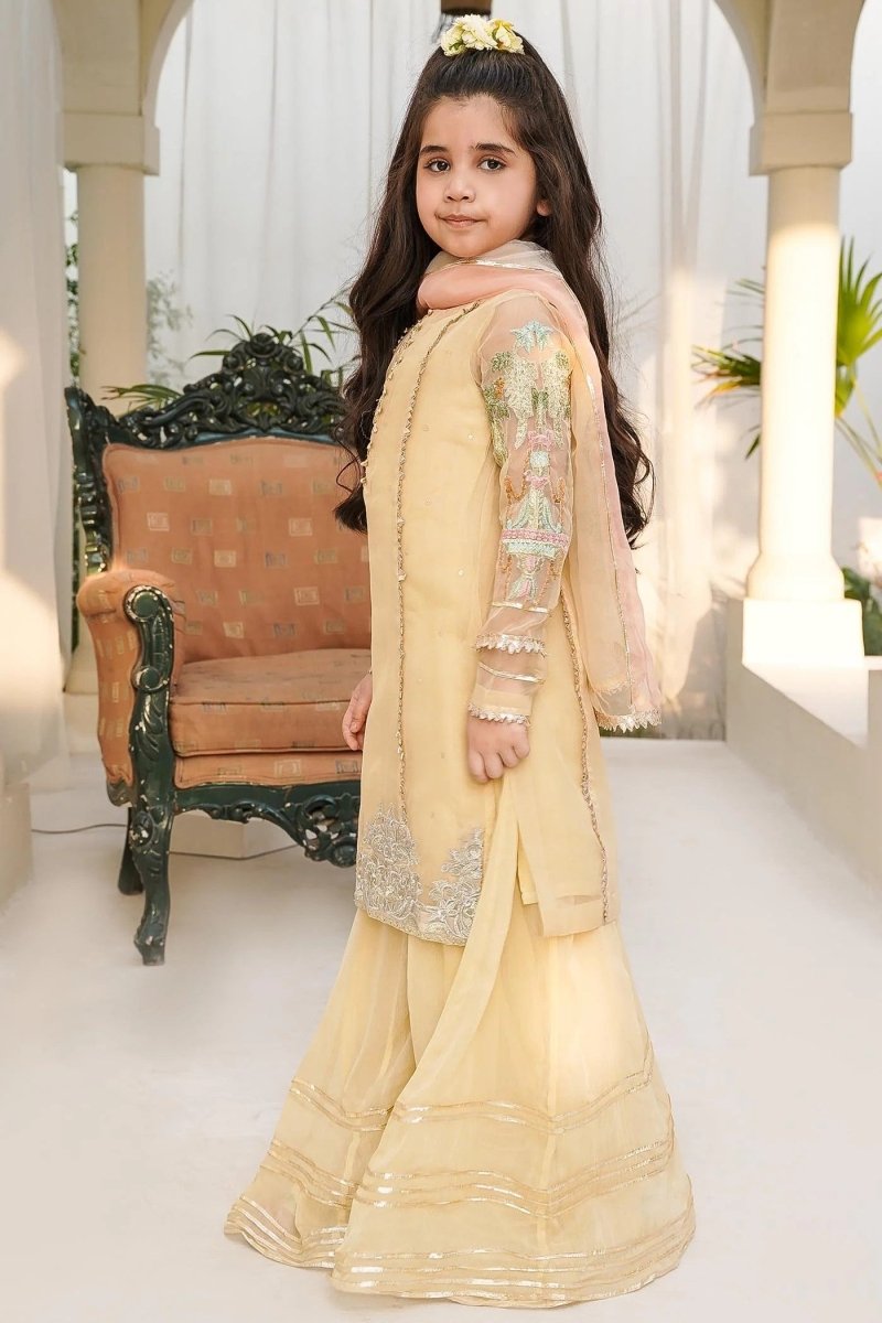 HEM Girls Pakistani Wedding Wear HEM08-Designer dhaage