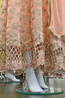 House Of Serene Maxi Dress Peach HOS16-Designer dhaage