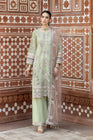 Imrozia Festive Net Formal Aya IMR153-Designer dhaage