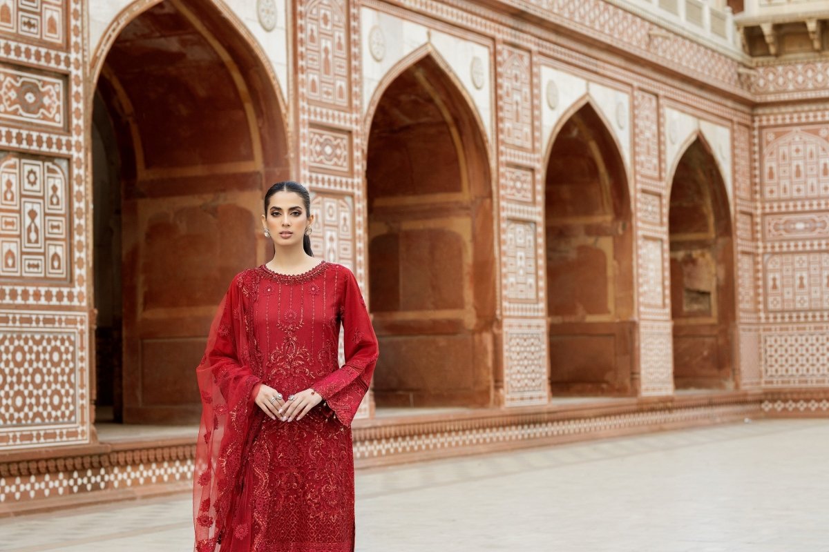 Imrozia Festive Net Formal Zeina IMR151-Designer dhaage